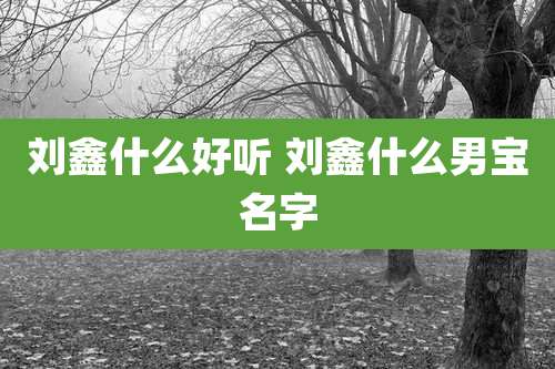 刘鑫什么好听 刘鑫什么男宝名字
