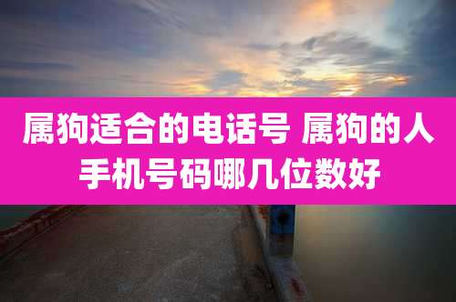 属狗适合的电话号 属狗的人手机号码哪几位数好
