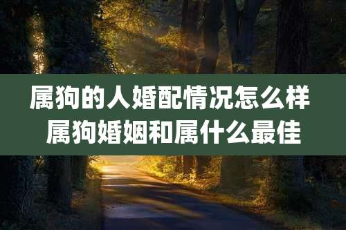 属狗的人婚配情况怎么样 属狗婚姻和属什么最佳