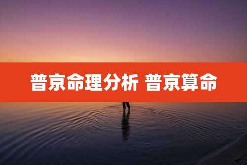 普京命理分析 普京算命