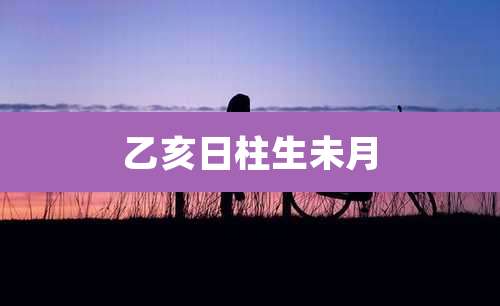 乙亥日柱生未月