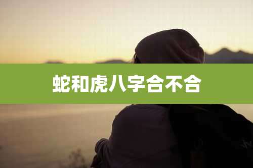 蛇和虎八字合不合
