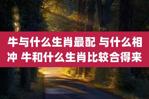 牛与什么生肖最配 与什么相冲 牛和什么生肖比较合得来