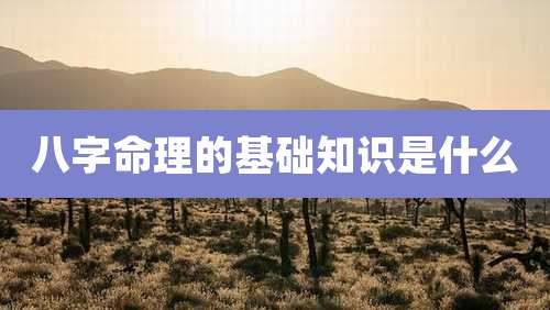 八字命理的基础知识是什么