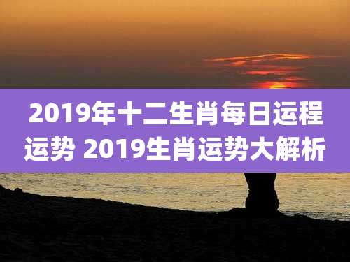 2019年十二生肖每日运程运势 2019生肖运势大解析