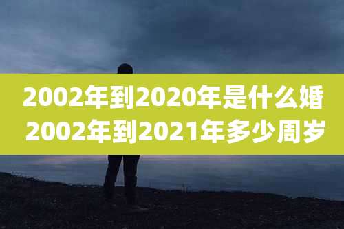 2002年到2020年是什么婚 2002年到2021年多少周岁