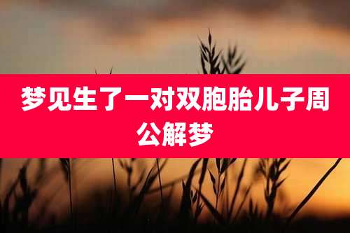 梦见生了一对双胞胎儿子周公解梦