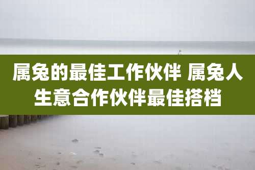 属兔的最佳工作伙伴 属兔人生意合作伙伴最佳搭档