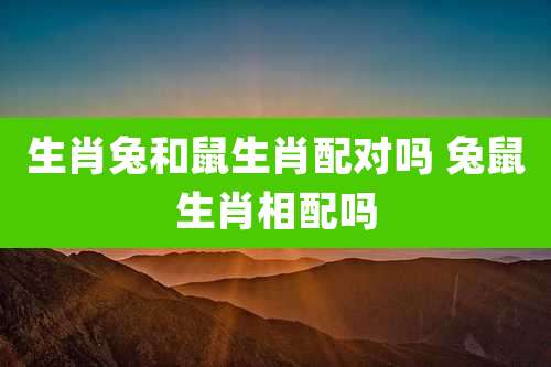生肖兔和鼠生肖配对吗 兔鼠生肖相配吗