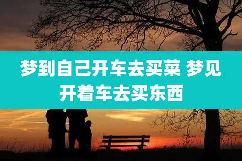 梦到自己开车去买菜 梦见开着车去买东西