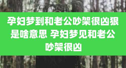 孕妇梦到和老公吵架很凶狠是啥意思 孕妇梦见和老公吵架很凶