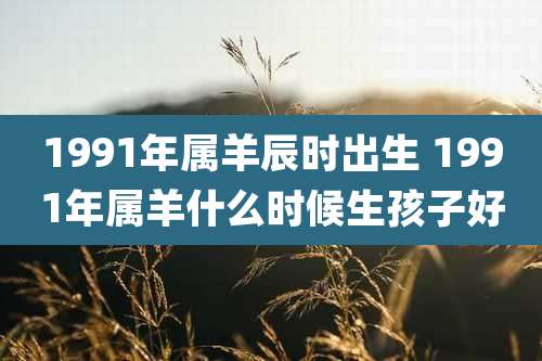 1991年属羊辰时出生 1991年属羊什么时候生孩子好