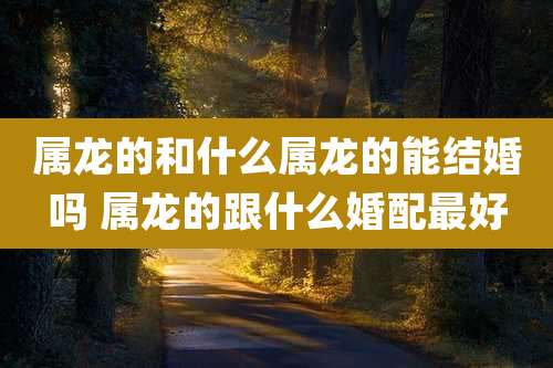 属龙的和什么属龙的能结婚吗 属龙的跟什么婚配最好