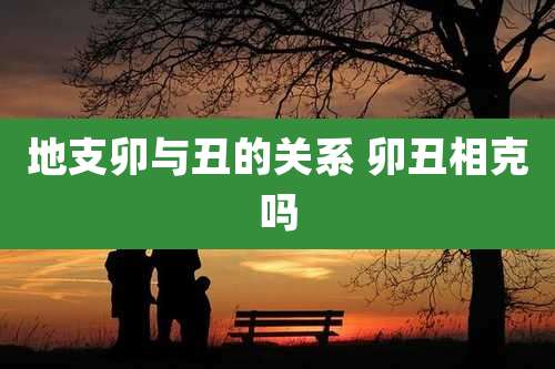 地支卯与丑的关系 卯丑相克吗