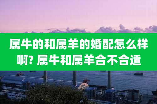 属牛的和属羊的婚配怎么样啊? 属牛和属羊合不合适