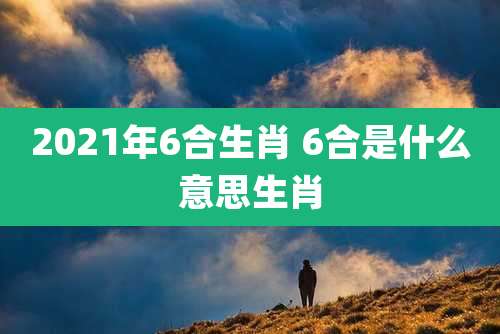 2021年6合生肖 6合是什么意思生肖