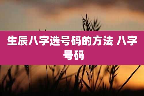 生辰八字选号码的方法 八字 号码