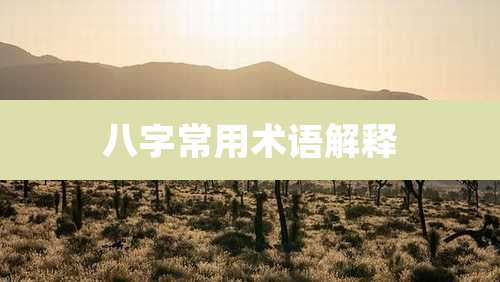 八字常用术语解释