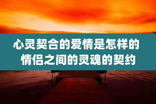 心灵契合的爱情是怎样的 情侣之间的灵魂的契约
