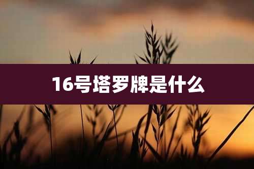 16号塔罗牌是什么