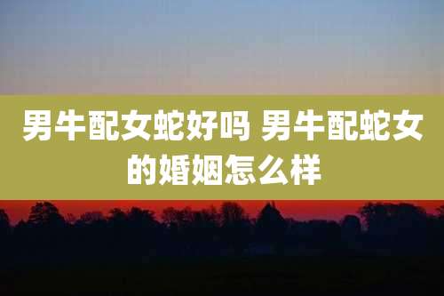 男牛配女蛇好吗 男牛配蛇女的婚姻怎么样