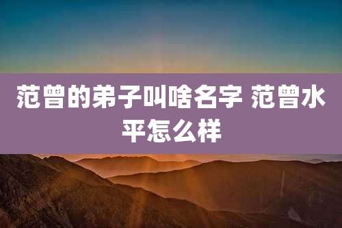 范曾的弟子叫啥名字 范曾水平怎么样
