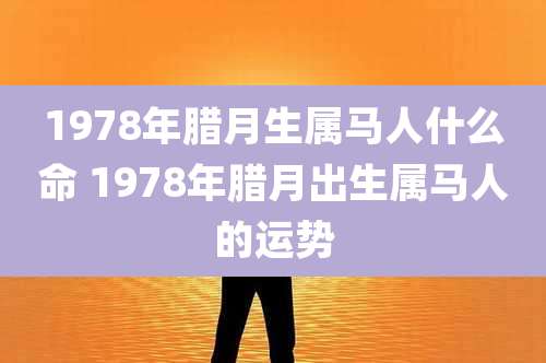 1978年腊月生属马人什么命 1978年腊月出生属马人的运势