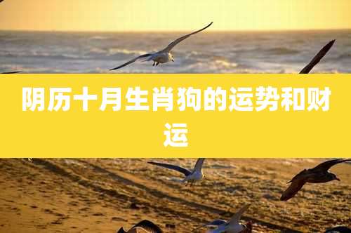阴历十月生肖狗的运势和财运