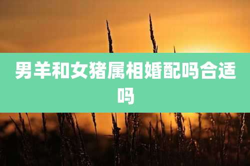 男羊和女猪属相婚配吗合适吗