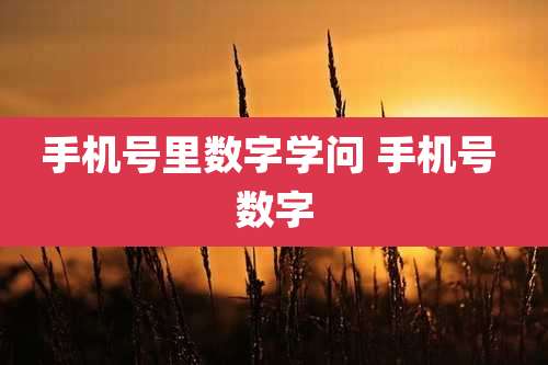 手机号里数字学问 手机号 数字