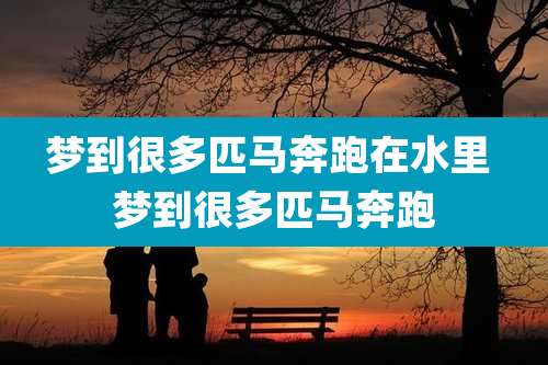 梦到很多匹马奔跑在水里 梦到很多匹马奔跑