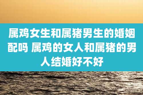 属鸡女生和属猪男生的婚姻配吗 属鸡的女人和属猪的男人结婚好不好