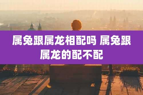 属兔跟属龙相配吗 属兔跟属龙的配不配