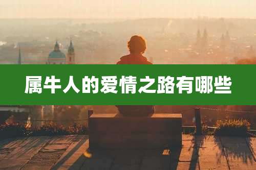 属牛人的爱情之路有哪些