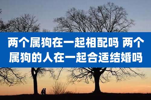 两个属狗在一起相配吗 两个属狗的人在一起合适结婚吗