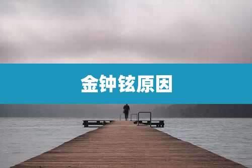金钟铉原因