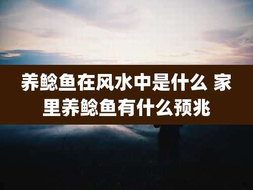 养鲶鱼在风水中是什么 家里养鲶鱼有什么预兆