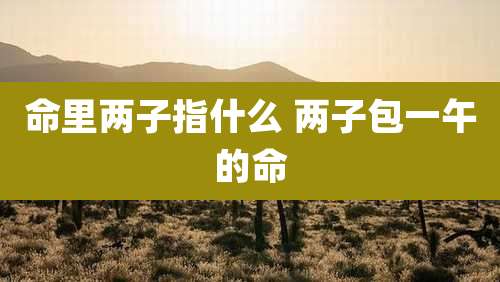 命里两子指什么 两子包一午的命