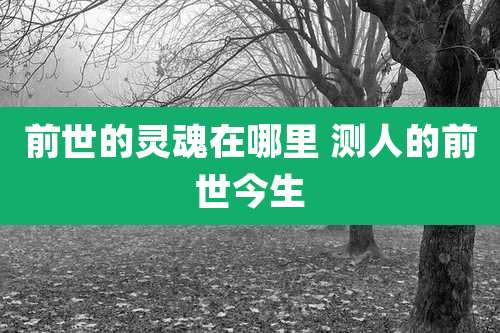 前世的灵魂在哪里 测人的前世今生