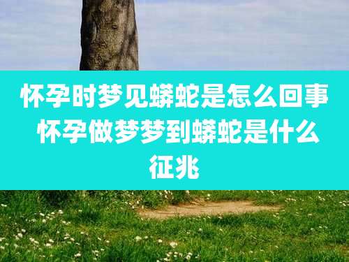怀孕时梦见蟒蛇是怎么回事 怀孕做梦梦到蟒蛇是什么征兆