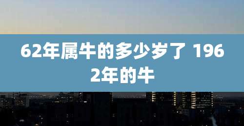 62年属牛的多少岁了 1962年的牛