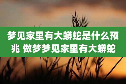 梦见家里有大蟒蛇是什么预兆 做梦梦见家里有大蟒蛇