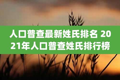 人口普查最新姓氏排名 2021年人口普查姓氏排行榜