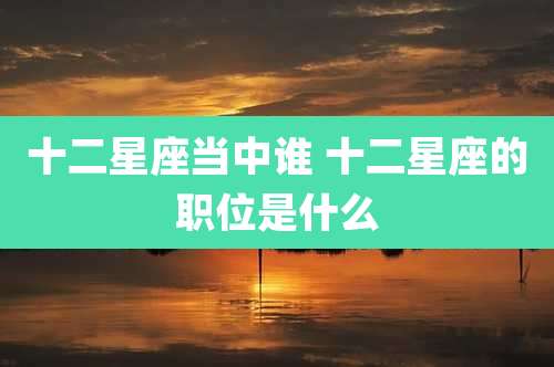 十二星座当中谁 十二星座的职位是什么
