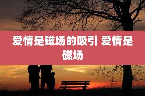 爱情是磁场的吸引 爱情是磁场