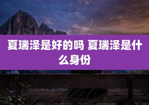 夏瑞泽是好的吗 夏瑞泽是什么身份