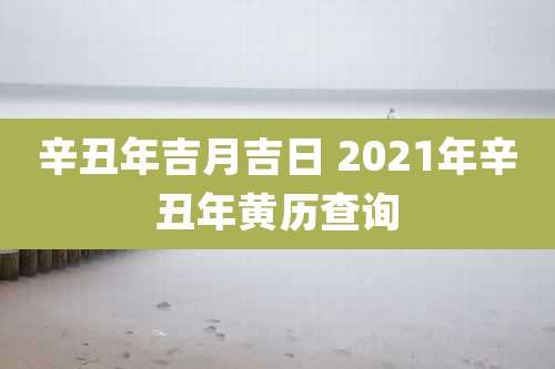 辛丑年吉月吉日 2021年辛丑年黄历查询