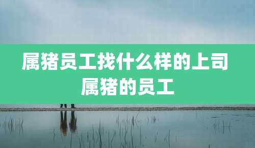 属猪员工找什么样的上司 属猪的员工