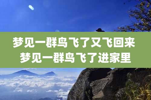梦见一群鸟飞了又飞回来 梦见一群鸟飞了进家里