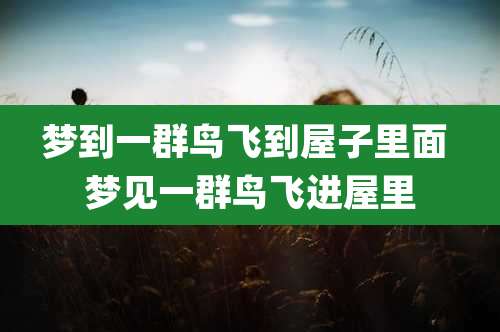 梦到一群鸟飞到屋子里面 梦见一群鸟飞进屋里